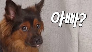 낯선 집에서 엄마 아빠가 사라졌다..