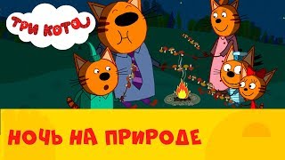 Три кота на СТС Kids | Ночь на природе