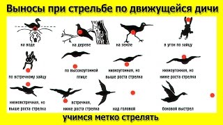 Выносы при стрельбе по движущейся дичи