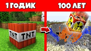 Как Динамит TNT прожил жизнь в Майнкрафт / Эволюция Мобов 1 годик 100 лет / Как менялся Цикл