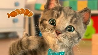 ❤Мимишный МАЛЕНЬКИЙ КОТЕНОК? Почему котенок прыгает на кровати?