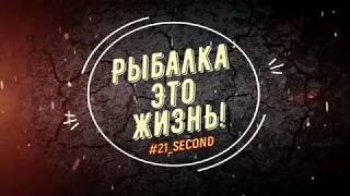 "Трофейная рыбалка" в Краснодарском крае. Июнь 2018