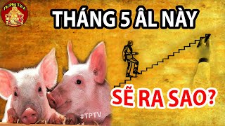 Tử Vi Tháng 5 Âm Lịch Tuổi Hợi May Mắn, Giàu Có Hay Vận Hạn Thế Nào?