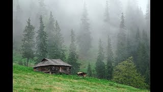 В краю непуганных птиц.
