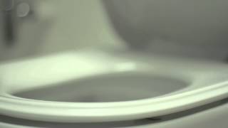 Web Video Series #1: Whitehaus Collection Magic Flush Toilets (Eco-friendly / Green)