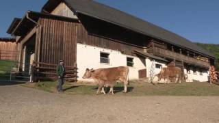 1 2 1 Rindfleisch mit Gütesiegel