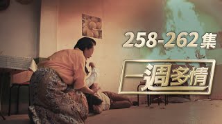 一週多情 EP258-262 | 回憶當年！大慶竟害佩瑛家破人亡！