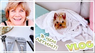 ЧЕМ СТРИЖЕМ СОБАКУ И С КАКОЙ СУМКЕ ЛЕТАЕМ | VLOG / ВЛОГ : 26.06.2019