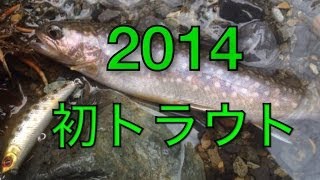 【渓流ルアー】今期初トラウト（地味注意！）