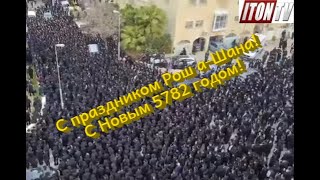 Евреи, евреи, кругом одни евреи?
