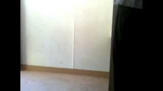 morning restroom fart