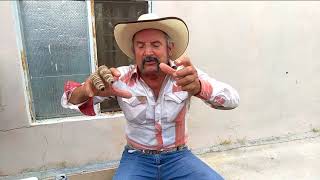 Javier Tamez, Pilo Chistes, "Pancho el Gorilero"