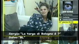 Mai Dire Grande Fratello - Materia Grigia Cercasi