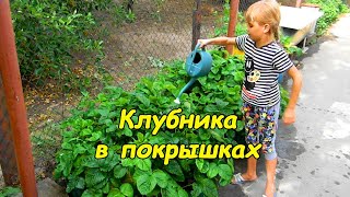 Выращивание клубники - клумбы из колес #взрослыеидети