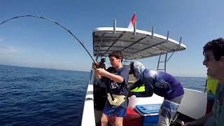 Umur 3th sudah mulai mancing. Sweet stanly fishing boat charter...