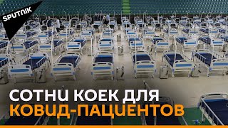 Полевой ковид-госпиталь создают в Тбилиси - видео с места событий