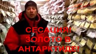 Сенсация! В Антарктиде нашли золото в воде. Ионы золота во льдах. Новая рыба