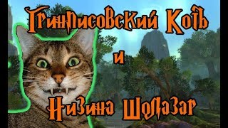 World of Warcraft. Низина Шолазар (заключительная часть квестов)