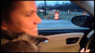 Audison Voce Audi A6 vs Bang & Olufsen Audi S5