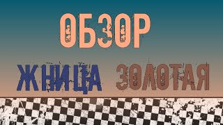 Raid SL: Золотая жница. Жница против Тормина! Обзор без монтажа и пыли в глаза.