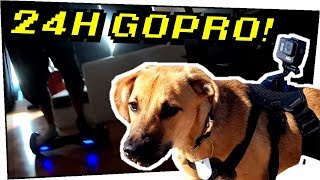 Ich habe meinem HUND EINE GOPRO AUFGESETZT! Das ist passiert - 400000 Abospecial