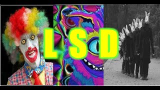 LSD, ÁCIDOS, TRIP: EFECTOS DE LAS DROGAS