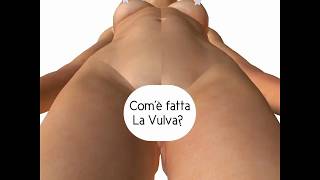 La Vulva per la rubrica #dentrolemutande