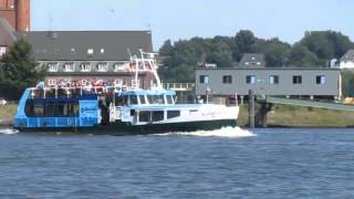 Aale Aale - Angeln in der Elbe am Finkenwerder Anleger