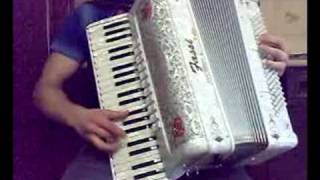 fisarmonica - pietro ritorna