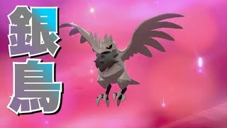 アーマーガアの色違いがかっこよすぎるぞ！！　【ポケモンソード＆シールド】