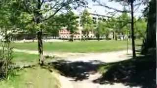 Un día en la UdeC