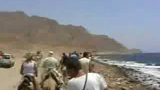 sharm el sheik ABU GALUM CAMMELLATA LUGLIO 2008
