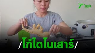 ปาท่องโก๋ "โกเหน่ง" การันตีอร่อยจริง | 19-12-62 | ตะลอนข่าว