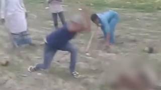 Monkey beaten to death in Motipur