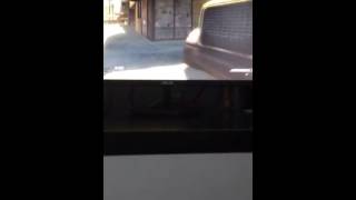 1vq TDM dispute vs Brady