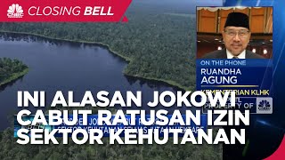 Jokowi Cabut Ratusan Izin Sektor Kehutanan, Ini Alasannya!