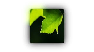 CSS - Soft Glow