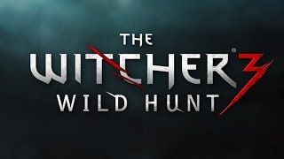 The Witcher 3, Location Level 36 Witcher Gear Steel Sword Teigr