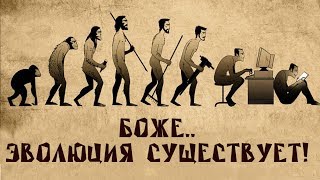 Что такое эволюция? Биолог Евгений Шмуклер на QWERTY