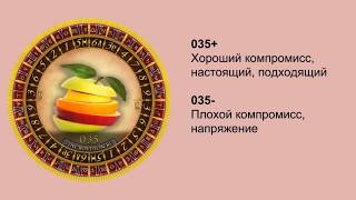 Бесплатные уроки СИНХРОвидения® с Анной Гак! Значение диска Компромисс