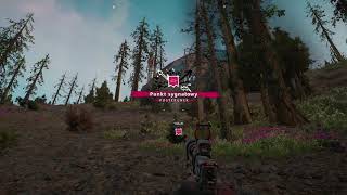 Far Cry New Dawn #2