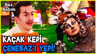 VAHŞİ KEDİ TAMARA, ÇENEBAZ'I YEDİ! - Bez Bebek 92. Bölüm