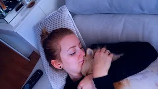 VLOG:  КАК ОНО, ЖИТЬ С СОБАКОЙ? 30.10.17