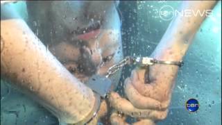 Magical New Year