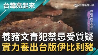 #亮起來精選 養豬界的文青！犯了傳統豬農"禁忌"大受質疑 用實力養出"台版伊比利豬"｜記者 鄭安妮 張逸民｜【台灣亮起來】20200119｜三立新聞台