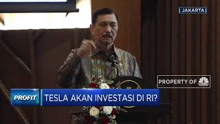 Minat Investasi Baterai Mobil Listrik, Tesla Telfon Luhut