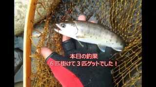 渡良瀬川本流でルアーフィッシング　・　ヤマメ釣り