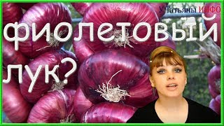 Ты, вообще, знал, что может ФИОЛЕТОВЫЙ ЛУК? Фиолетовый лук это...
