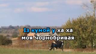 ВАРЕНИЧКИ КАРАОКЕ гурт ЕКСПРЕС