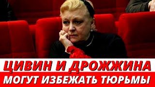 «Могут избежать тюрьмы» У Дрожжиной и Цивина появились лазейки